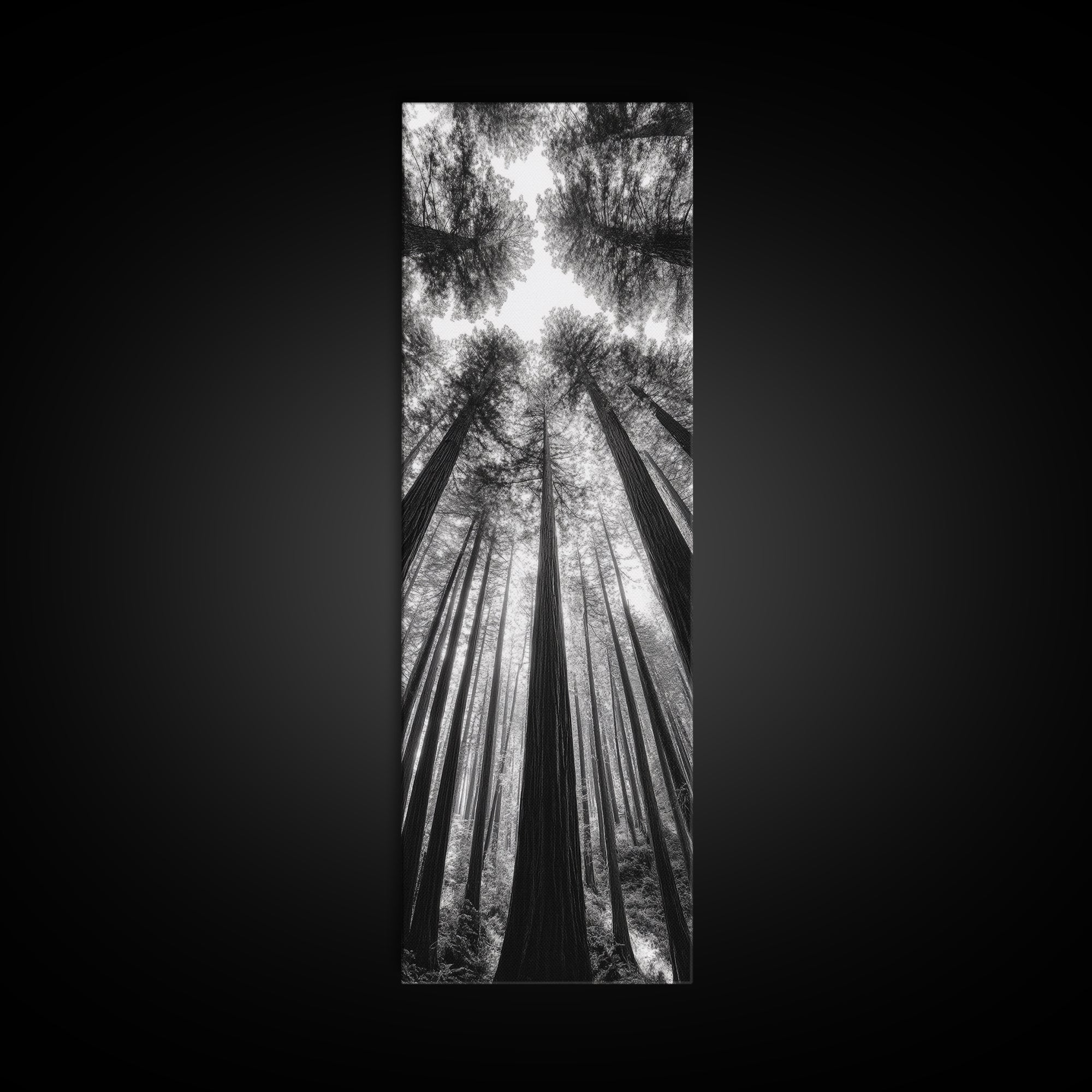 Redwood Forest, Sunlight Trees, Nature Canopy, Canvas Print, Serene Woodland Art, Cabin Wall Decor, Black and White Forest Art, Bedroom Wall Art