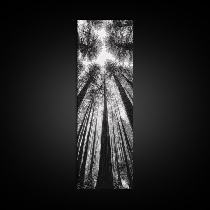 Redwood Forest, Sunlight Trees, Nature Canopy, Canvas Print, Serene Woodland Art, Cabin Wall Decor, Black and White Forest Art, Bedroom Wall Art