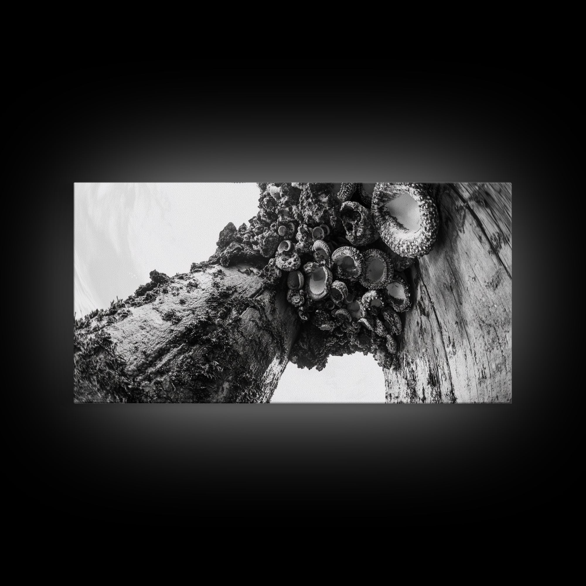 Coastal Texture, Tidepool Abstract, Modern Ocean Nature, Framed Canvas Print, Bathroom Wall Art, Marine Minimalist Photography