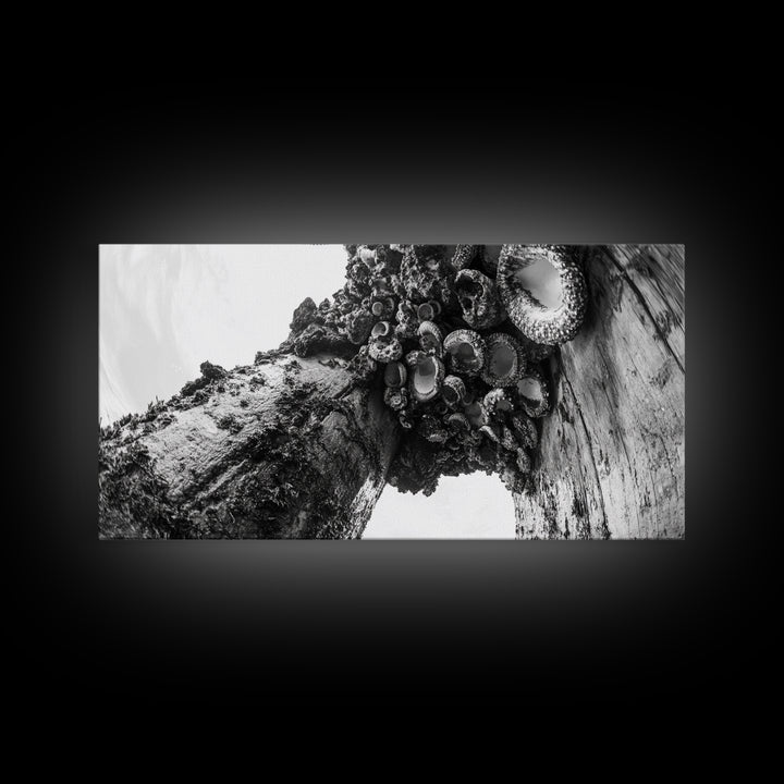 Coastal Texture, Tidepool Abstract, Modern Ocean Nature, Framed Canvas Print, Bathroom Wall Art, Marine Minimalist Photography