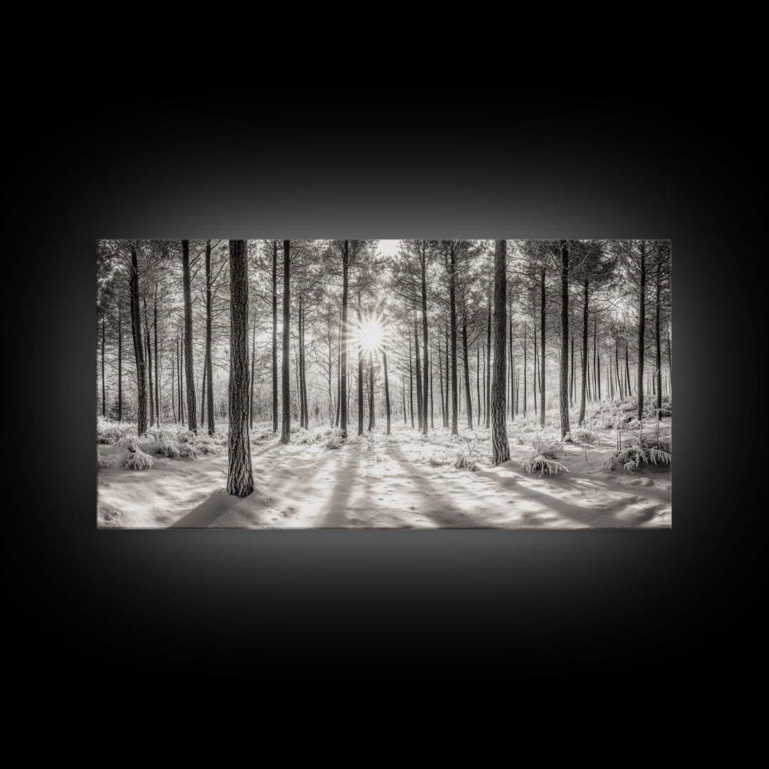 Winter Pine Forest, Sunlight Snow Trees, Nature Landscape Photography, Framed Canvas Print, Cabin Decor, Minimalist Wall Art