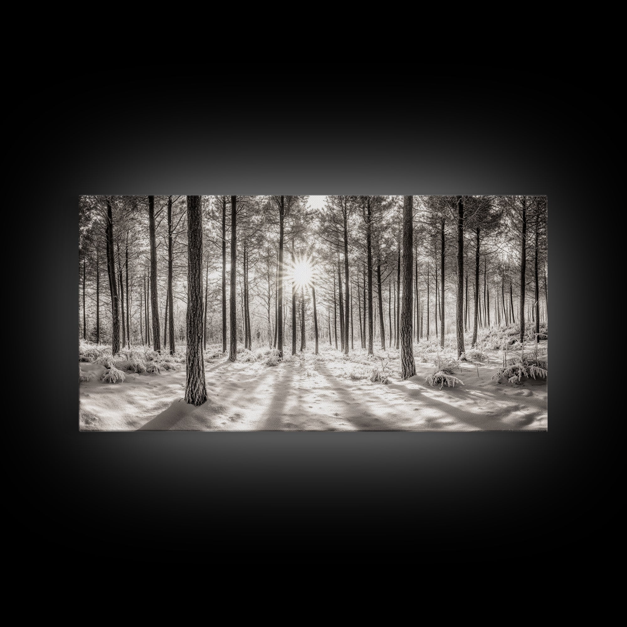 Winter Pine Forest, Sunlight Snow Trees, Nature Landscape Photography, Framed Canvas Print, Cabin Decor, Minimalist Wall Art