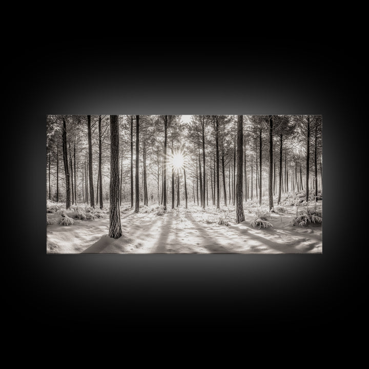 Winter Pine Forest, Sunlight Snow Trees, Nature Landscape Photography, Framed Canvas Print, Cabin Decor, Minimalist Wall Art