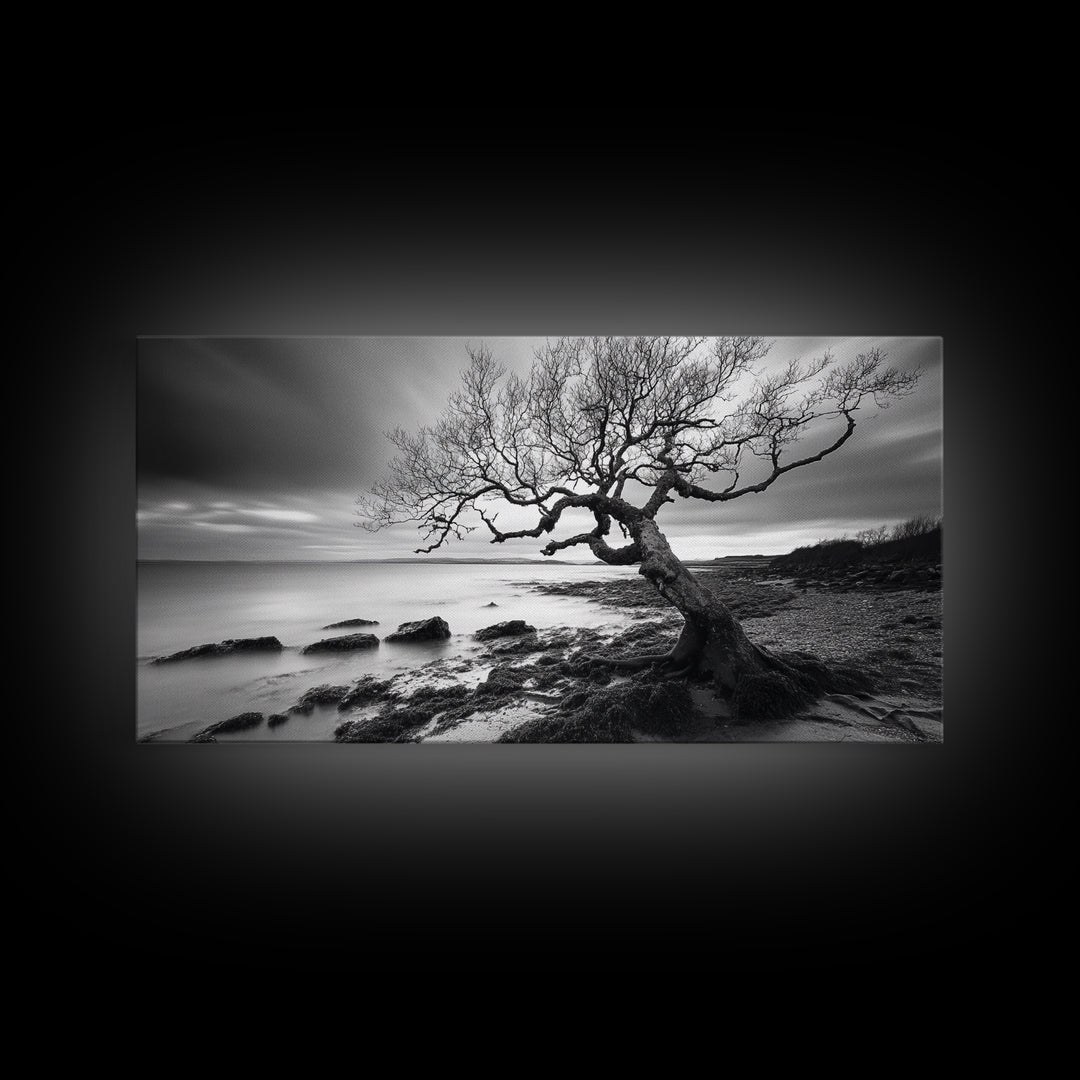 Coastal Tree, Tidal Shore, Windswept Beauty, Natural Balance, Framed Canvas Print, Bedroom Wall Art, Boho Decor, Serene Seascape