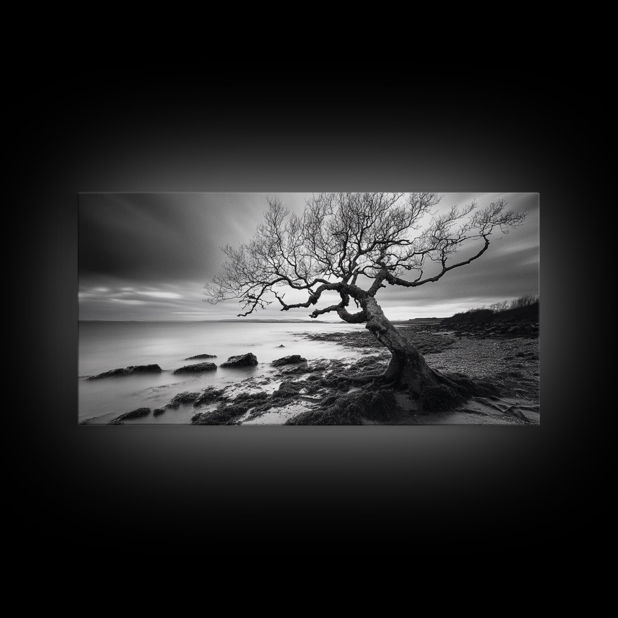 Coastal Tree, Tidal Shore, Windswept Beauty, Natural Balance, Framed Canvas Print, Bedroom Wall Art, Boho Decor, Serene Seascape