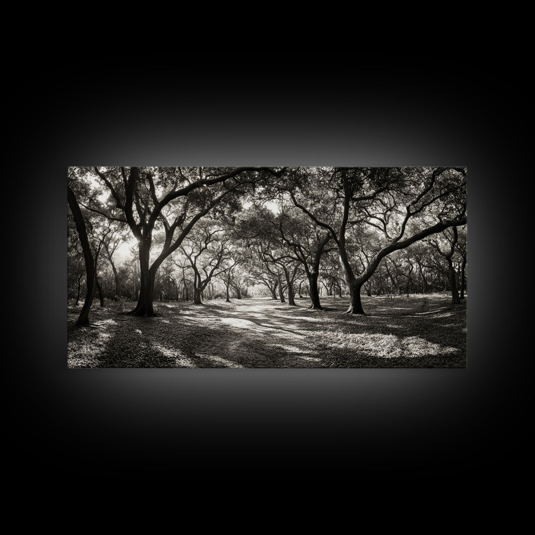 Oak Tree Path, Autumn Forest Glow, Nature Trail Photography, Framed Canvas Print, Hallway Wall Art, Earthy Decor, Woodland Art
