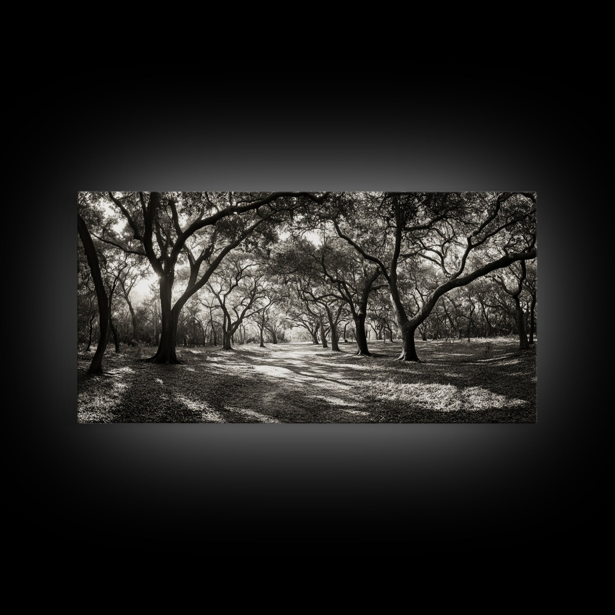 Oak Tree Path, Autumn Forest Glow, Nature Trail Photography, Framed Canvas Print, Hallway Wall Art, Earthy Decor, Woodland Art