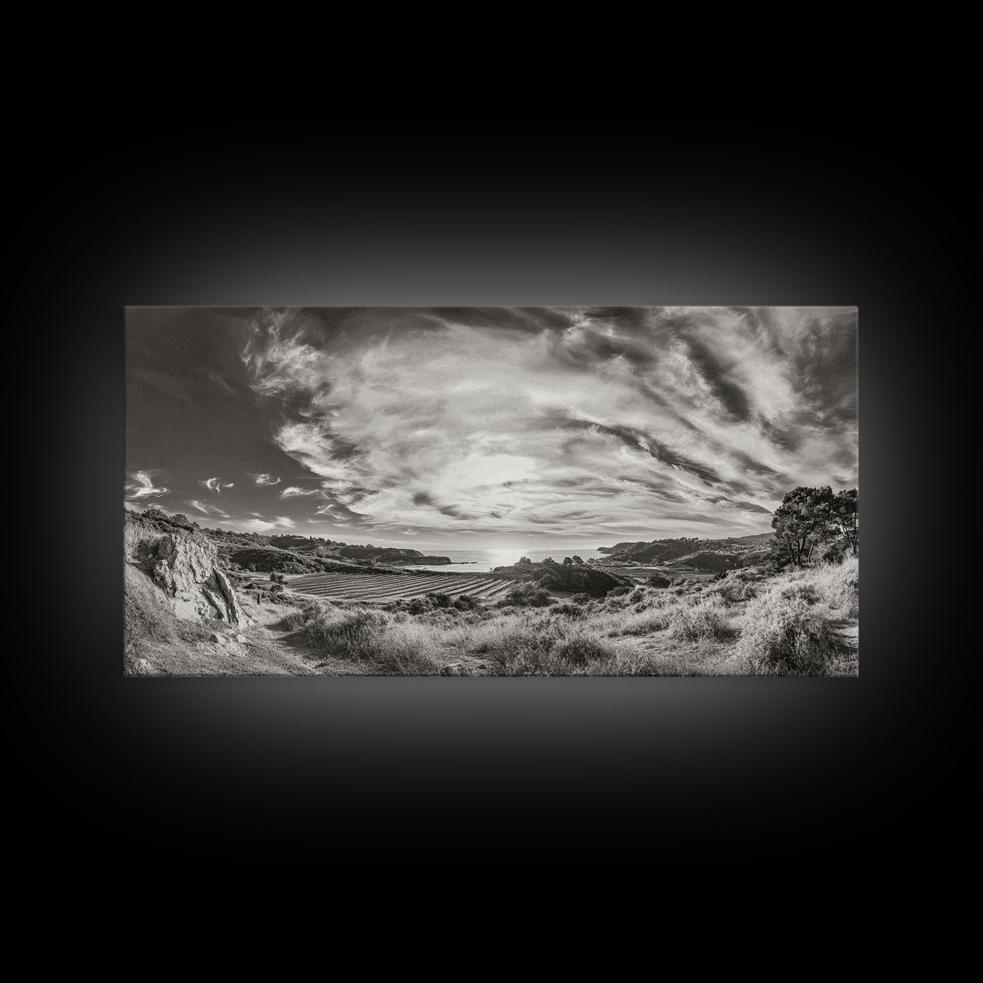 Coastal Hillside Sunset, Vineyard Ocean View, Rolling Landscape Art, Framed Canvas Print, Kitchen Wall Art, California Scenery