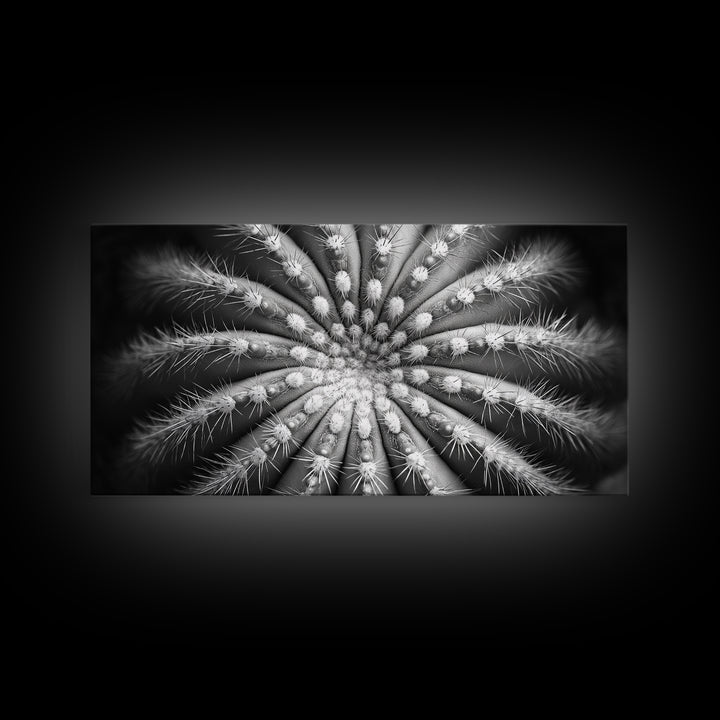 Cactus Spiral, Desert Bloom, Nature Closeup, Modern Decor, Framed Canvas Print, Minimalist Botanical Art, Office Wall Art, Succulent Texture