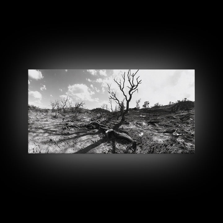 Barren Tree Landscape, Post Fire Terrain, Dystopian Forest Scene, Survival Mood, Canvas Print, Office Wall Art, Dark Nature Decor