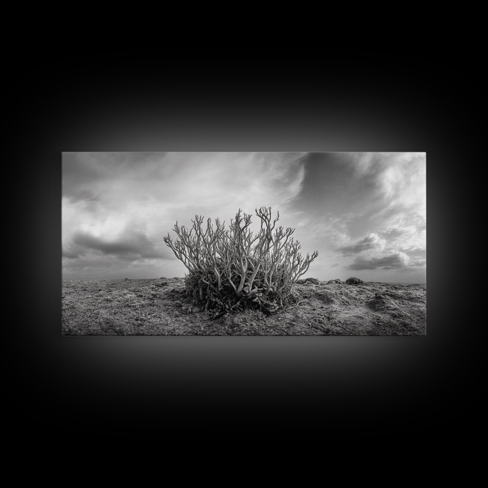 Desert Coral Plant, Dry Earth Botanical, Surreal Nature Texture, Minimal Wild Scene, Canvas Print, Office Wall Art, Earthy Decor