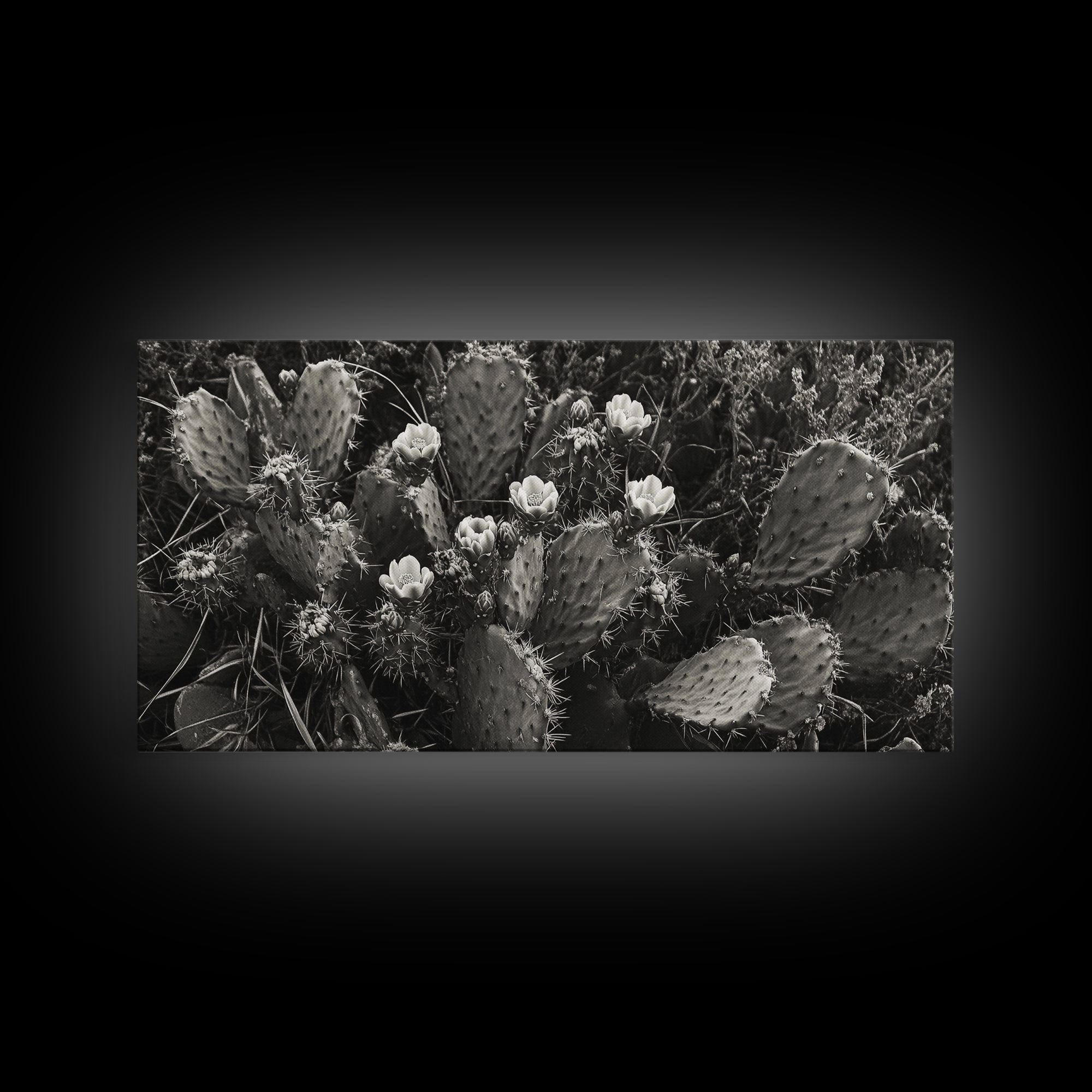 Cactus Blooms, Desert Flowers, Prickly Pear, Nature Closeup, Framed Canvas Print, Southwestern Art, Kitchen Wall Art, Boho Style