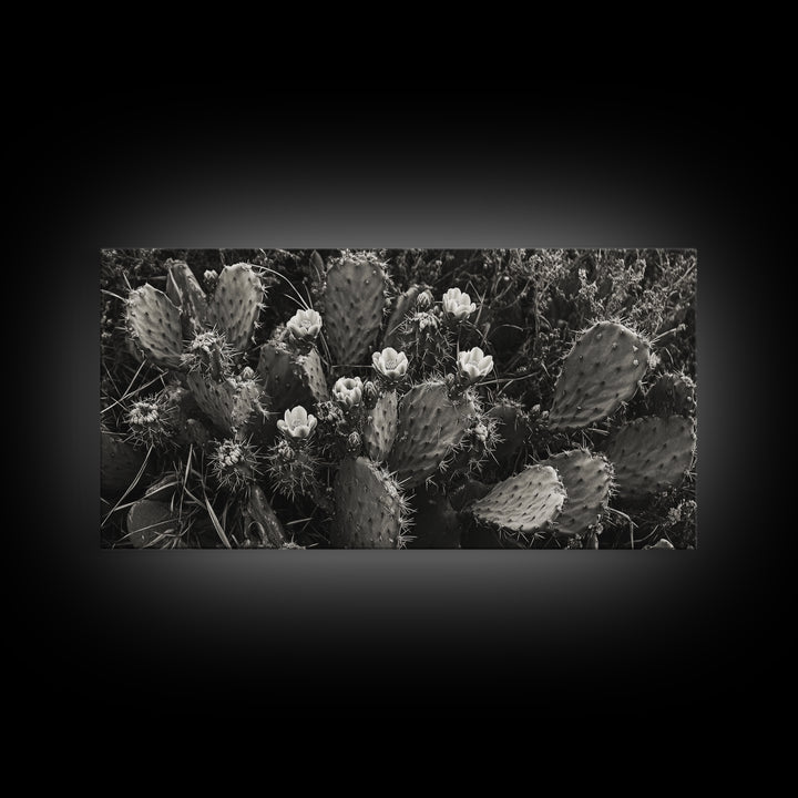 Cactus Blooms, Desert Flowers, Prickly Pear, Nature Closeup, Framed Canvas Print, Southwestern Art, Kitchen Wall Art, Boho Style