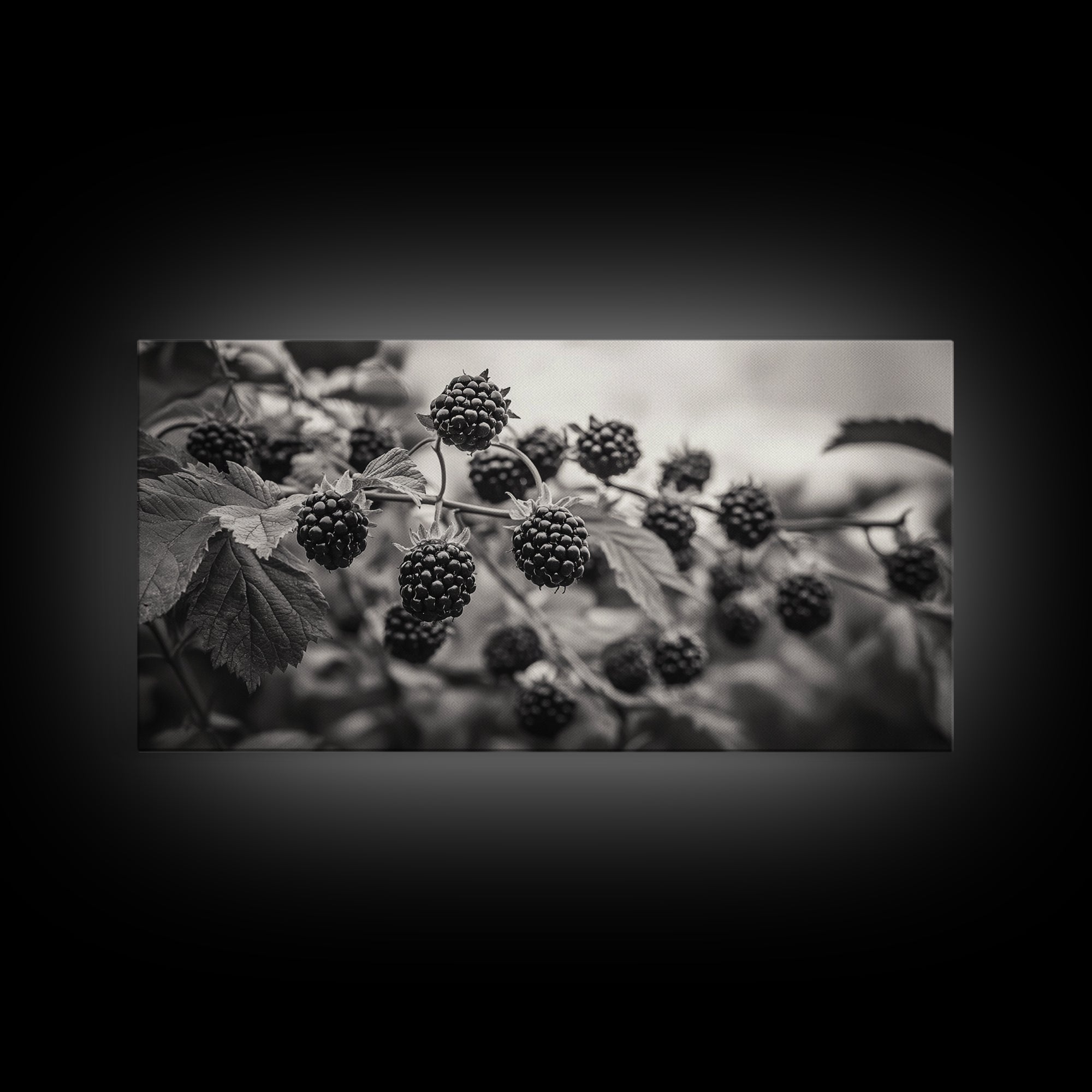 Blackberries on Vine, Farmhouse Kitchen Art, Rustic Fruit Wall Decor, Country Style, Autumn Botanical Photography, Canvas Print