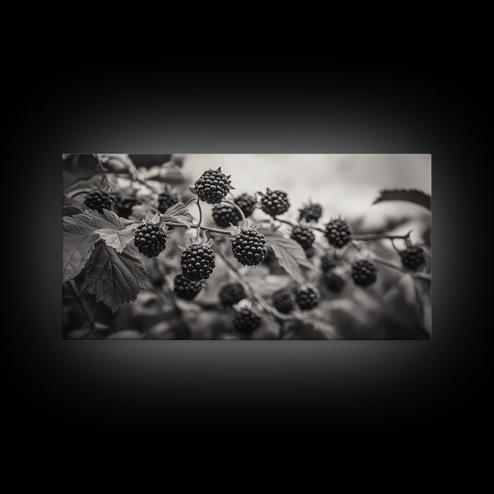 Blackberries on Vine, Farmhouse Kitchen Art, Rustic Fruit Wall Decor, Country Style, Autumn Botanical Photography, Canvas Print