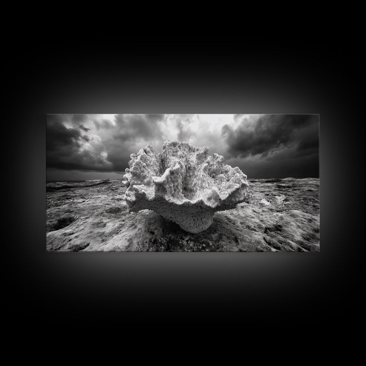 Coral Texture, Ocean Storm, Dramatic Sky, Sea Fossil, Framed Canvas Print, Coastal Nature Art, Fall Entryway Wall Decor, Cabin Wall Art