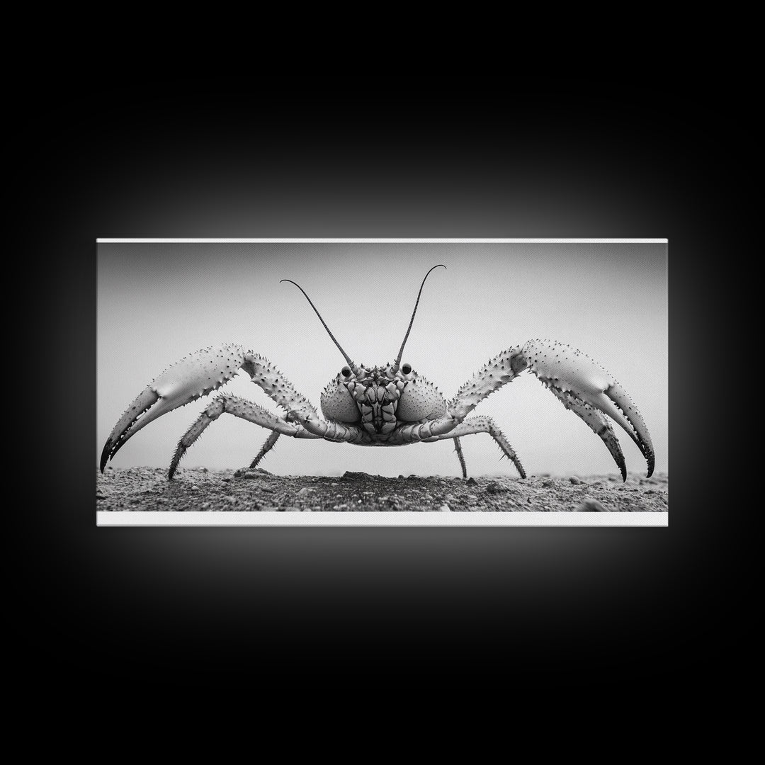 Crab Art, Beach Creature, Monochrome Photography, Nature Close-Up, Framed Canvas Print, Coastal Bathroom Art, Marine Home Style