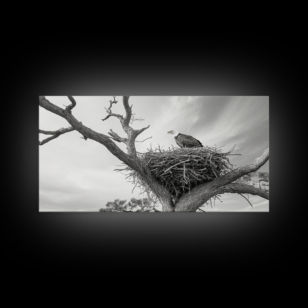 Bald Eagle Nest, Wildlife Nature Art, Rustic Cabin Decor, Framed Canvas Print, Patriotic Office Wall Art, Woodland Photography
