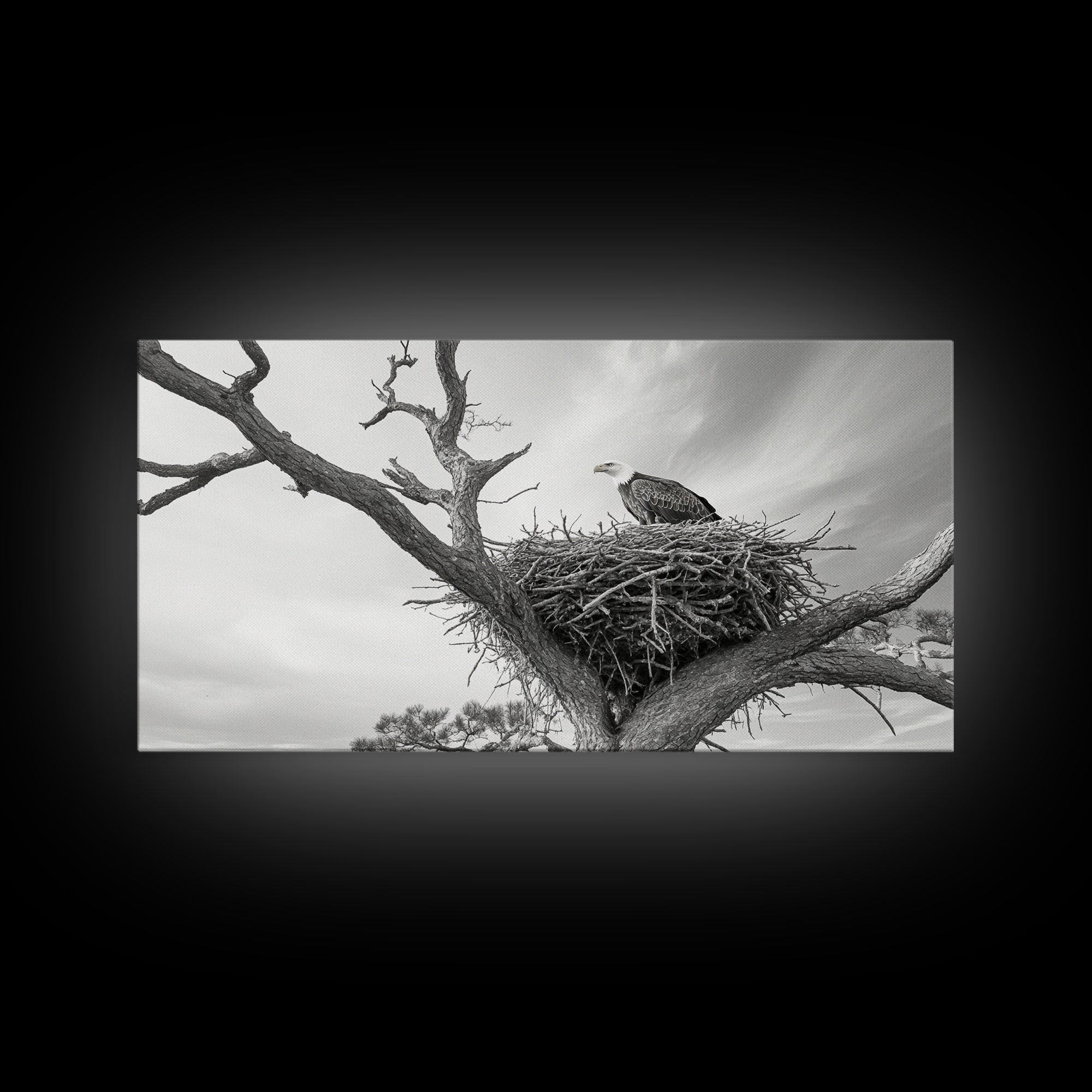 Bald Eagle Nest, Wildlife Nature Art, Rustic Cabin Decor, Framed Canvas Print, Patriotic Office Wall Art, Woodland Photography
