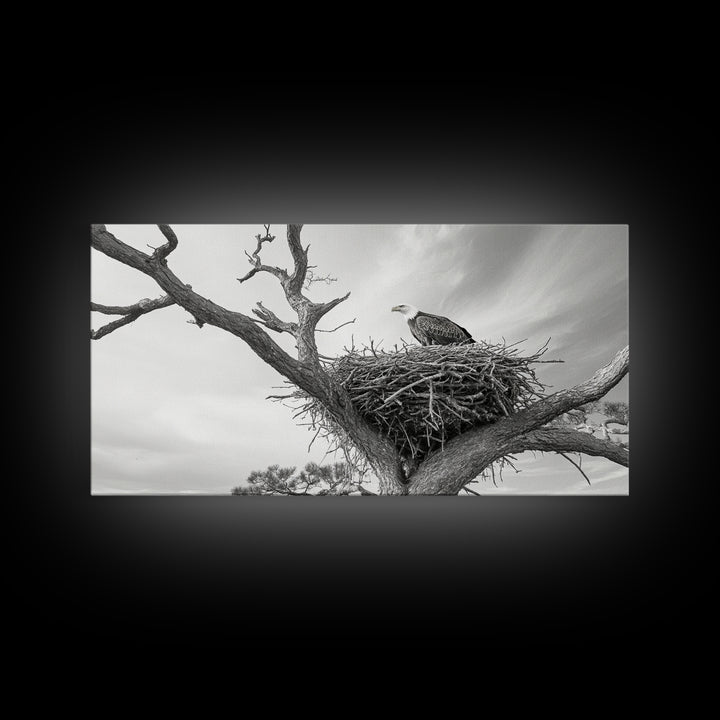 Bald Eagle Nest, Wildlife Nature Art, Rustic Cabin Decor, Framed Canvas Print, Patriotic Office Wall Art, Woodland Photography