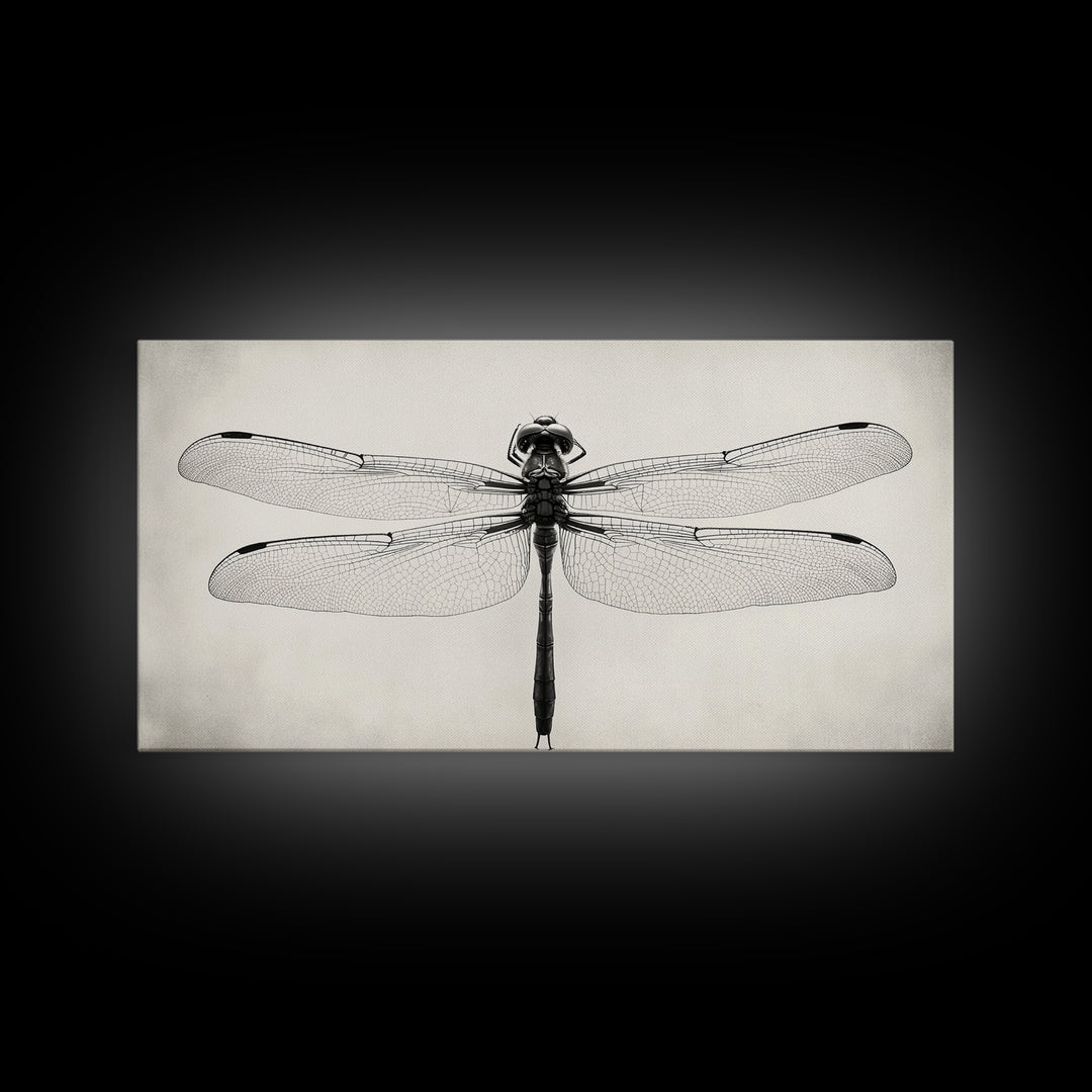 Dragonfly Sketch, Insect Art Print, Botanical Illustration, Minimalist Natural History, Framed Canvas Print, Office or Study Wall Art