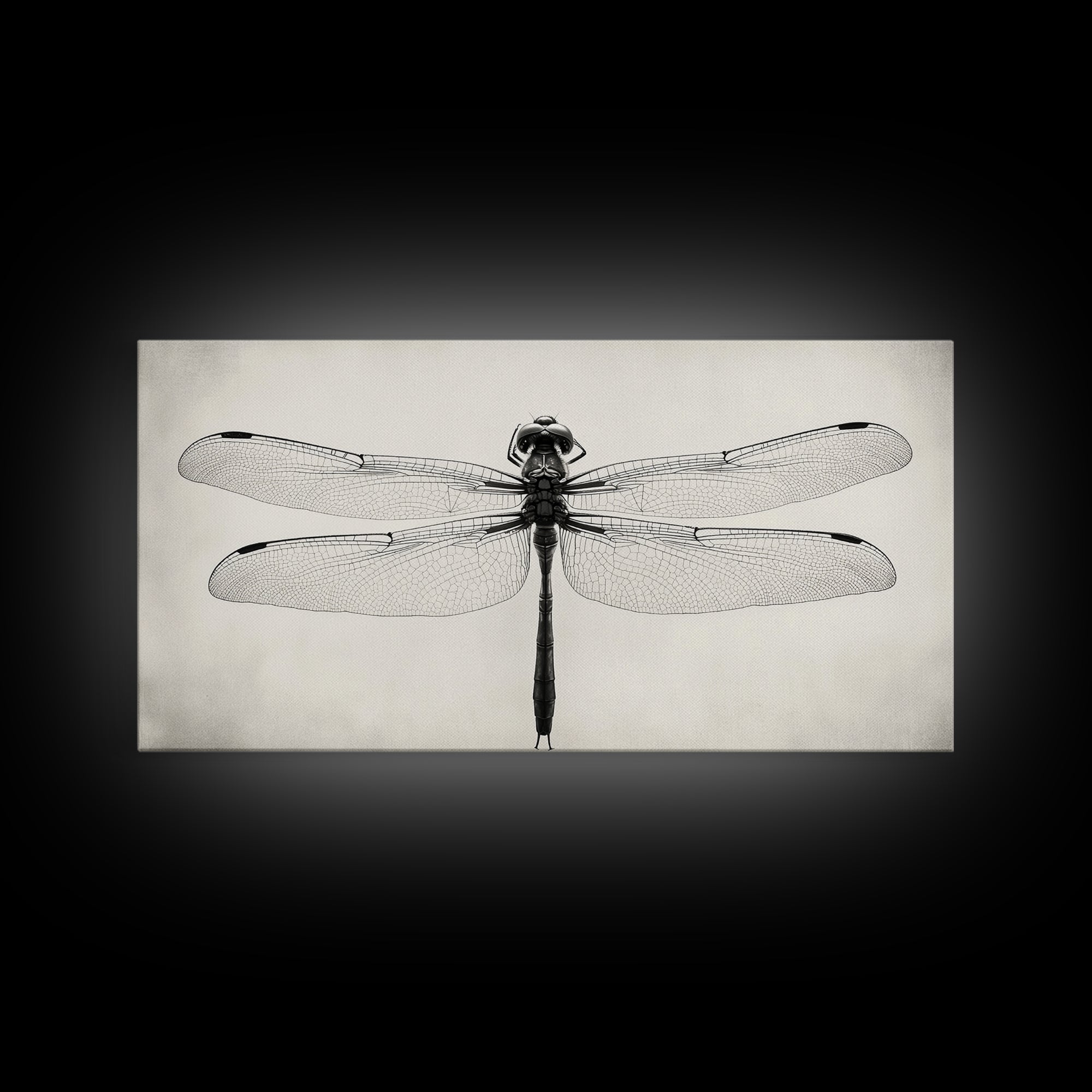 Dragonfly Sketch, Insect Art Print, Botanical Illustration, Minimalist Natural History, Framed Canvas Print, Office or Study Wall Art