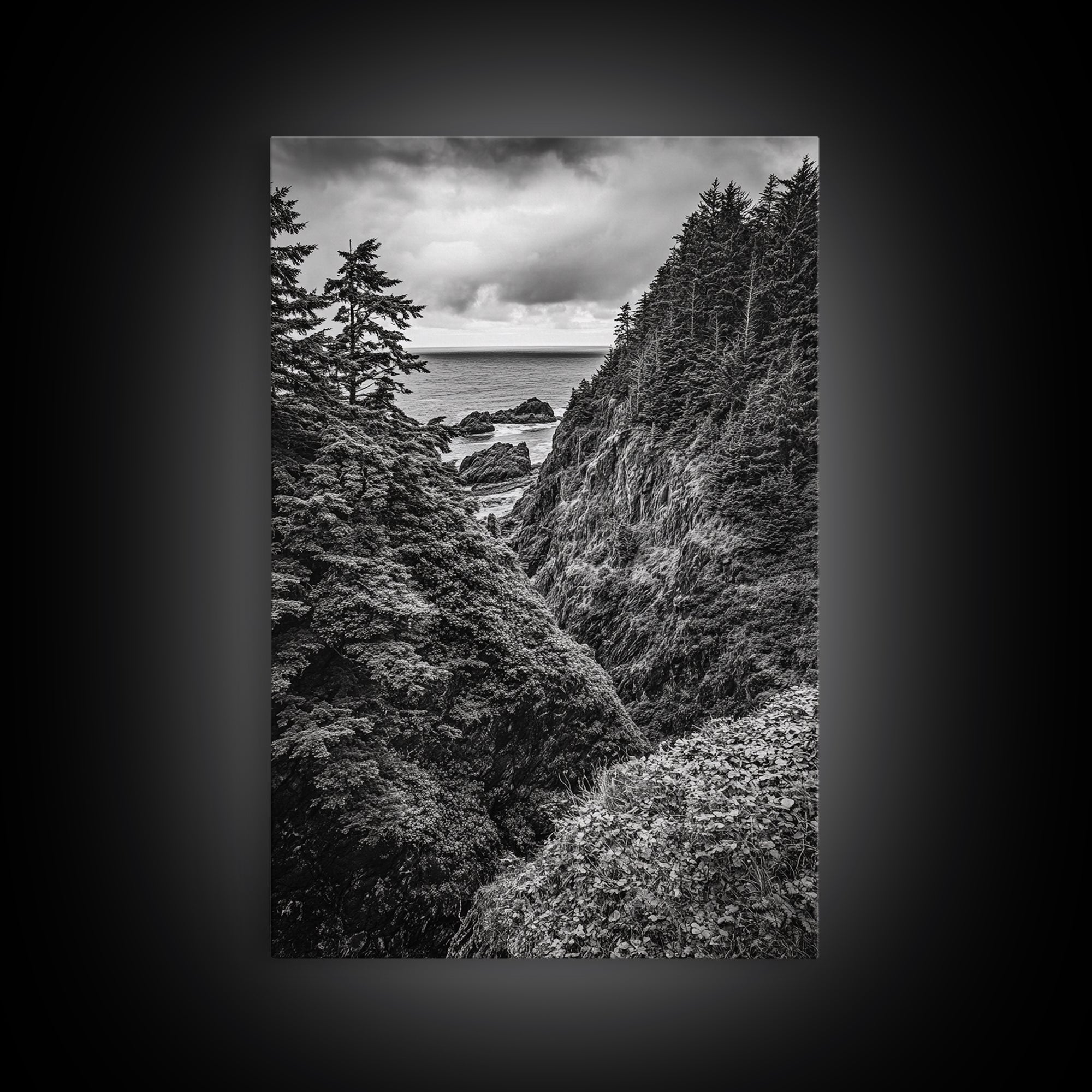 Rugged Ocean View, Coastal Forest, Black and White Mountains, Pacific Northwest Vibes, Framed Canvas Print, Den Wall Art, Moody Cabin Decor