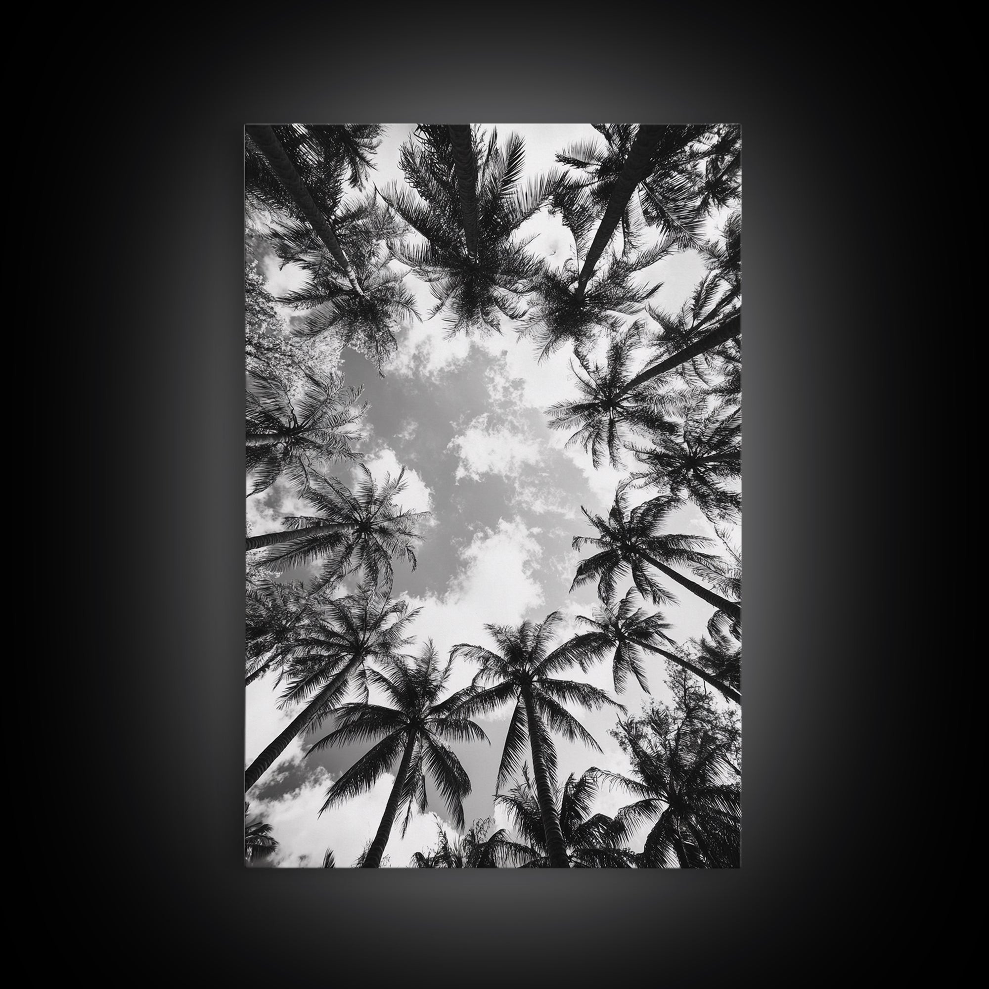 Palm Tree Sky, Tropical Canopy, Black and White Island View, Jungle Overhead Scene, Framed Canvas Print, Bathroom Wall Art, Beach Boho Decor