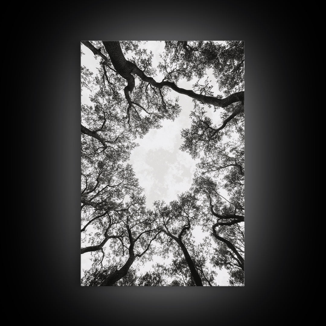 Forest Canopy View, Tree Tops Art, Nature Sky Print, Framed Canvas Print, Bedroom Wall Art, Minimalist Nature, Modern Rustic Decor