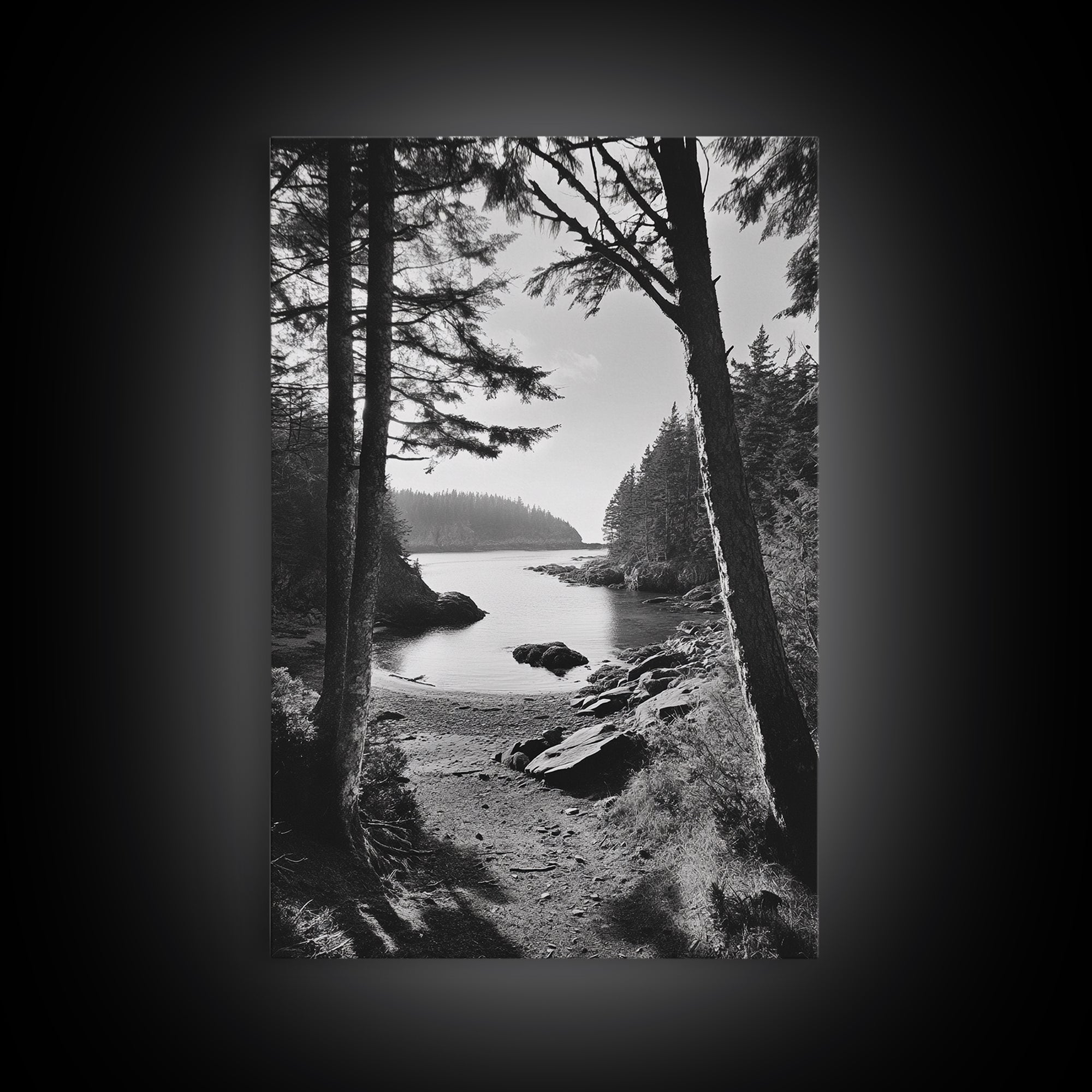 Woodland Cove Path, Tranquil Forest Scene, Nature Escape Art, Canvas Print, Cabin Wall Art, Coastal Boho Decor, Black White Landscape