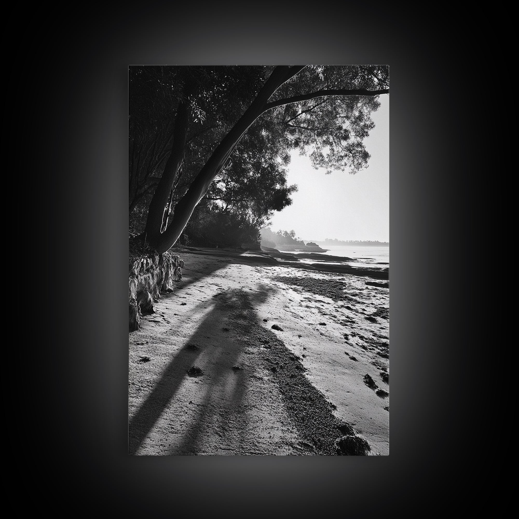 Coastal Shadows Path, Black and White Landscape, Framed Canvas Print, Entryway Art, Calm Nature Scene, Moody Coastal Wall Decor