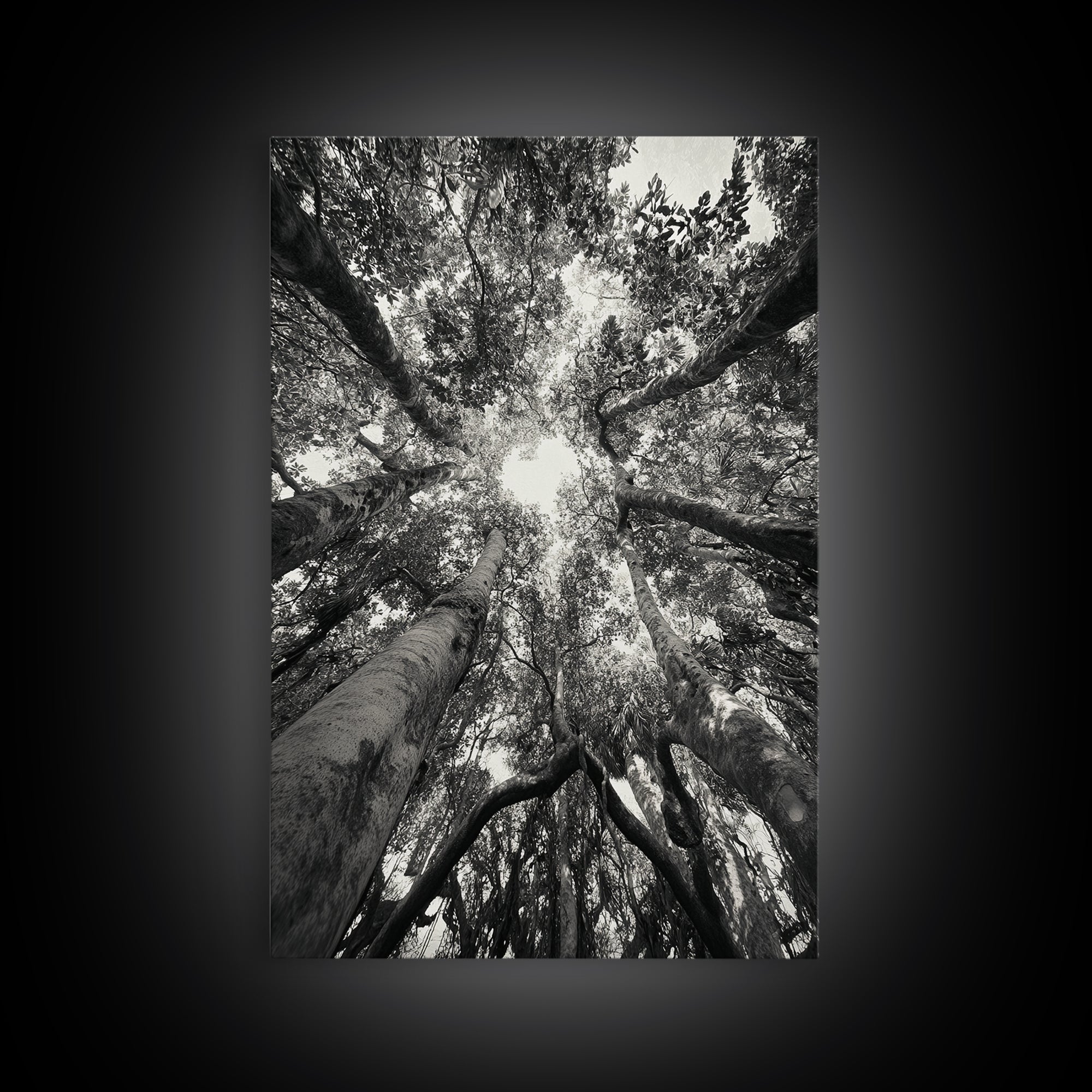 Tree Canopy, Forest Light, Upward View, Canvas Print, Woodland Wall Art, Living Room Decor, Nature Perspective Photography