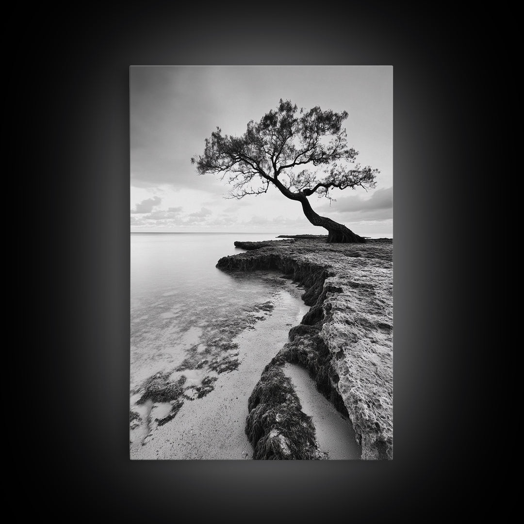 Coastal Tree Silhouette, Serene Nature Art, Ocean Wall Scene, Framed Canvas Print, Beach House Decor, Minimalist Design