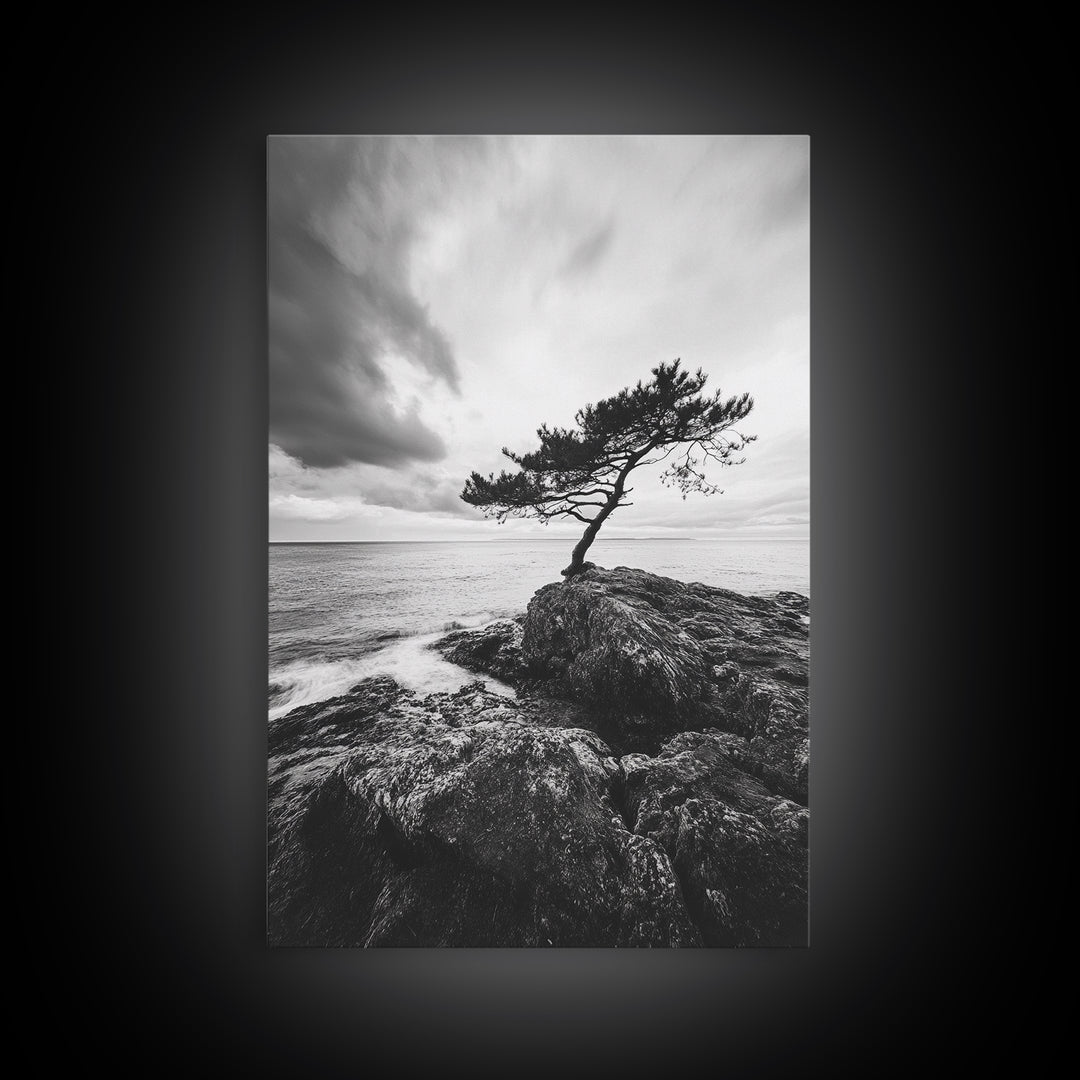 Lone Tree, Cliffside Ocean, Windy Coast Art, Framed Canvas Print, Bedroom Wall Art, Modern Nature Photography, Coastal Minimalist Decor