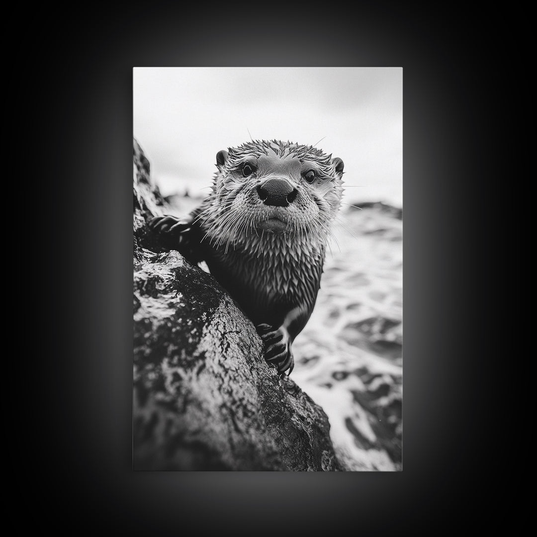 Curious Otter, Coastal Wildlife, Black and White, Animal Photography, Framed Canvas Print, Bathroom Wall Art, Nature Lover Gift