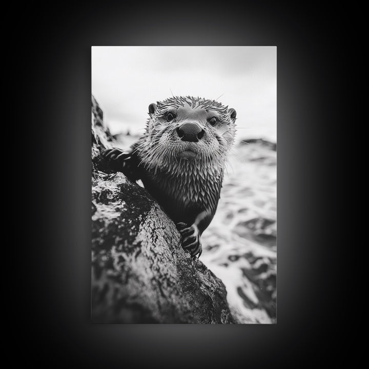 Curious Otter, Coastal Wildlife, Black and White, Animal Photography, Framed Canvas Print, Bathroom Wall Art, Nature Lover Gift