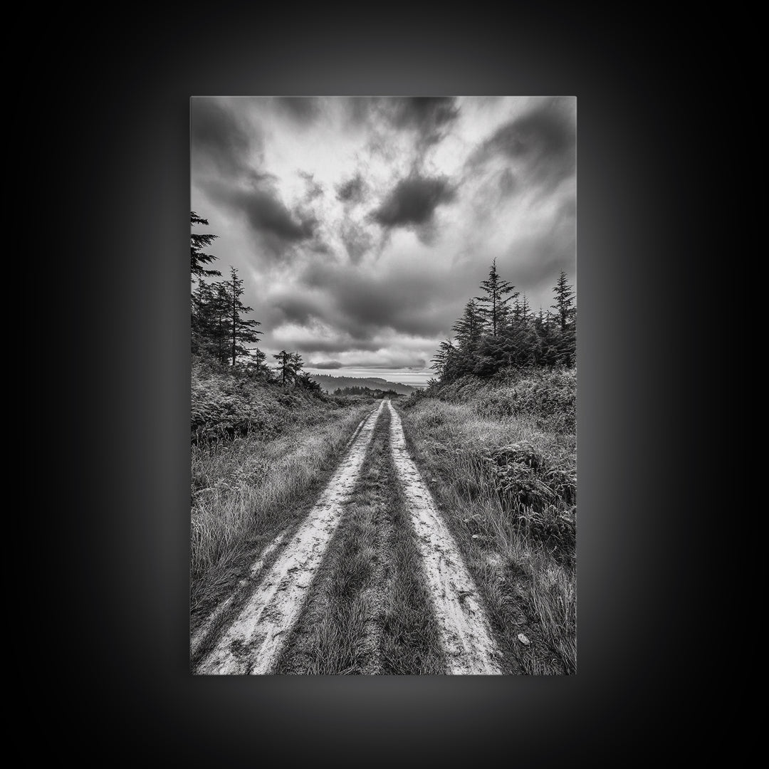 Forest Trail, Overcast Sky, Nature Pathway, Moody Landscape, Framed Canvas Print, Office Wall Art, Woodland Autumn Decor