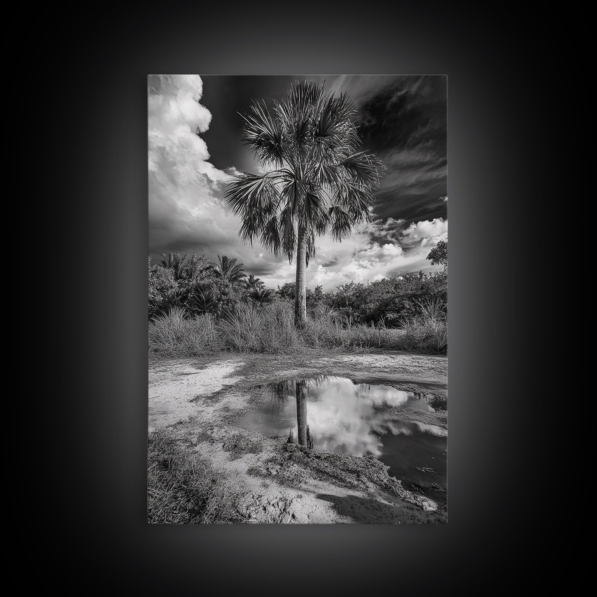 Tropical Palm, Reflected Sky, Nature Tranquility, Canvas Print, boho wall decor, bathroom art, tropical reflection photography