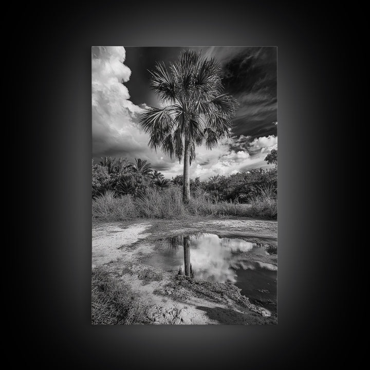 Tropical Palm, Reflected Sky, Nature Tranquility, Canvas Print, boho wall decor, bathroom art, tropical reflection photography