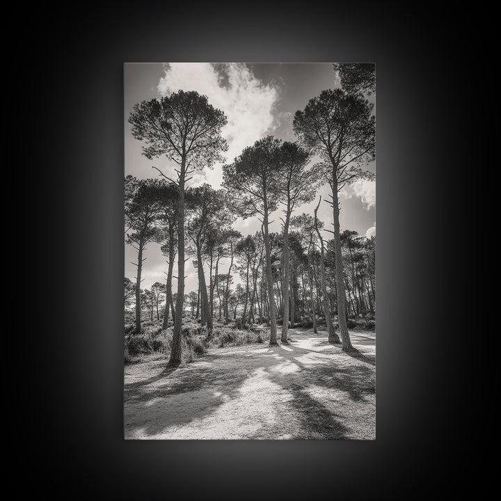 Forest Shadows, Tall Pines, Natural Light, Framed Canvas Print, woodland landscape, rustic cabin decor, autumn forest art