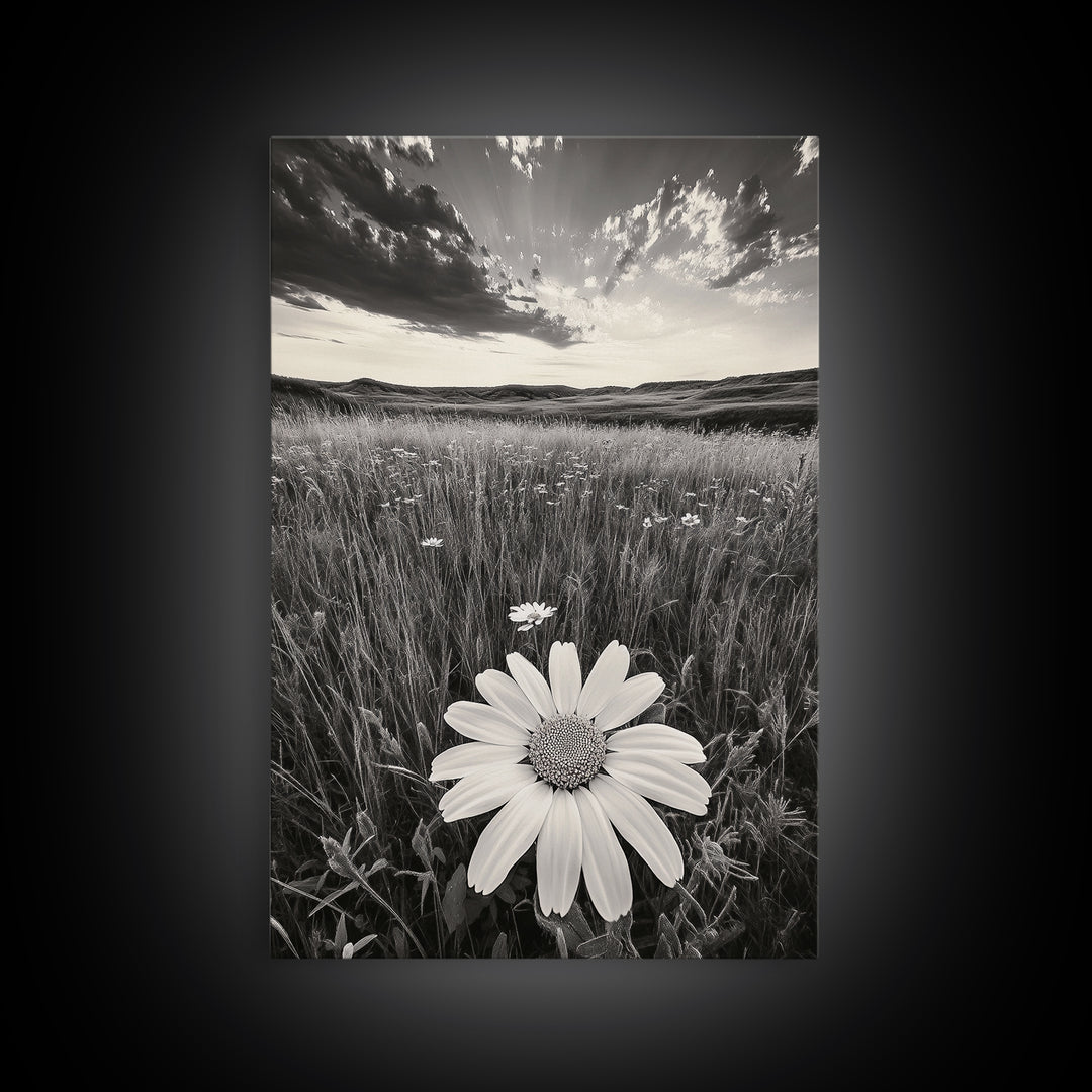 Wildflower Field, Daisy Bloom, Summer Meadow, Framed Canvas Print, Boho Botanical Wall Art, Bedroom Decor, Earthy Nature Photography