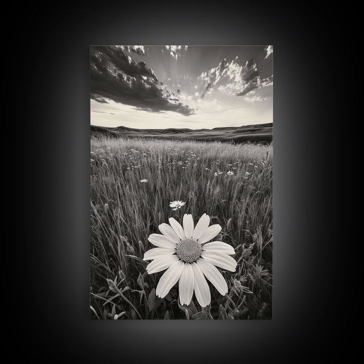Wildflower Field, Daisy Bloom, Summer Meadow, Framed Canvas Print, Boho Botanical Wall Art, Bedroom Decor, Earthy Nature Photography