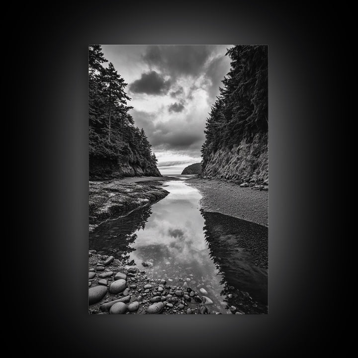 Tide Pool, Forest Reflection, Coastal Calm, Framed Canvas Print, Black White Nature Art, Bathroom or Bedroom Decor, Tranquil Scene