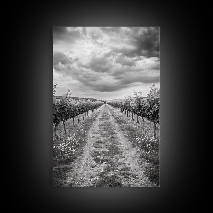 Vineyard Rows, Cloudy Skies, Countryside Path, Canvas Print, Farmhouse Wall Art, Kitchen or Dining Decor, Rustic Landscape Photo