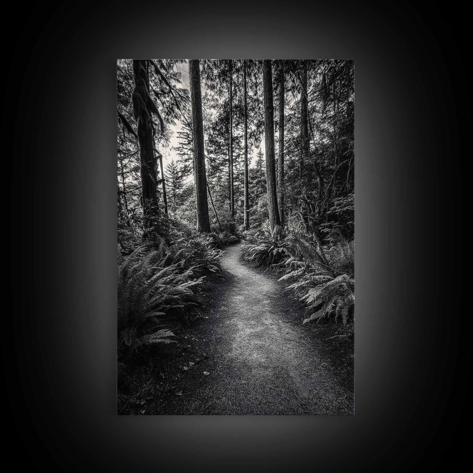 Fern Pathway, Enchanted Forest, Woodland Trail, Framed Canvas Print, Nature Walk Wall Art, Boho Bedroom Decor, Moody Landscape Style