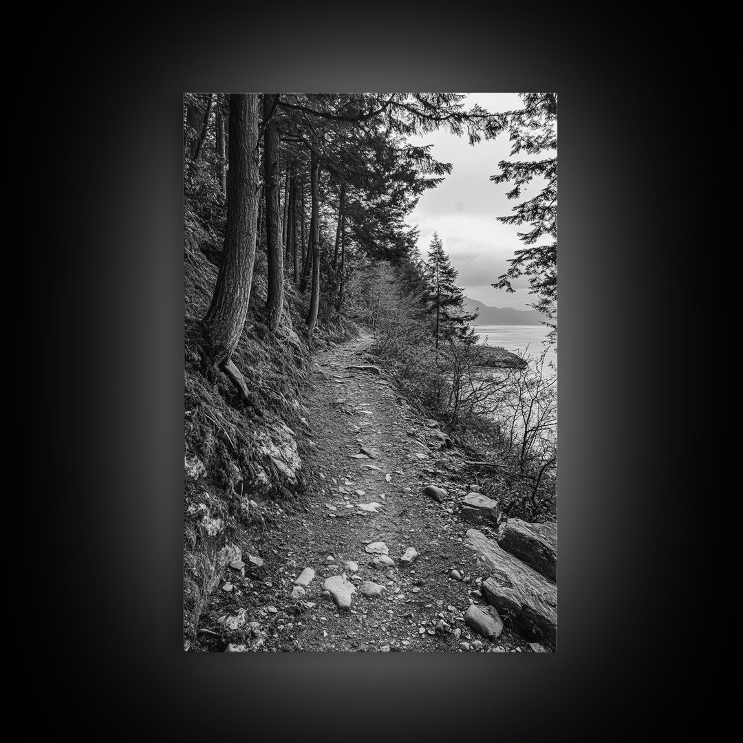 Forest Pathway Trail, Wilderness Escape, Rustic Nature, Black and White Framed Canvas Print, Cozy Cabin or Entryway Wall Art