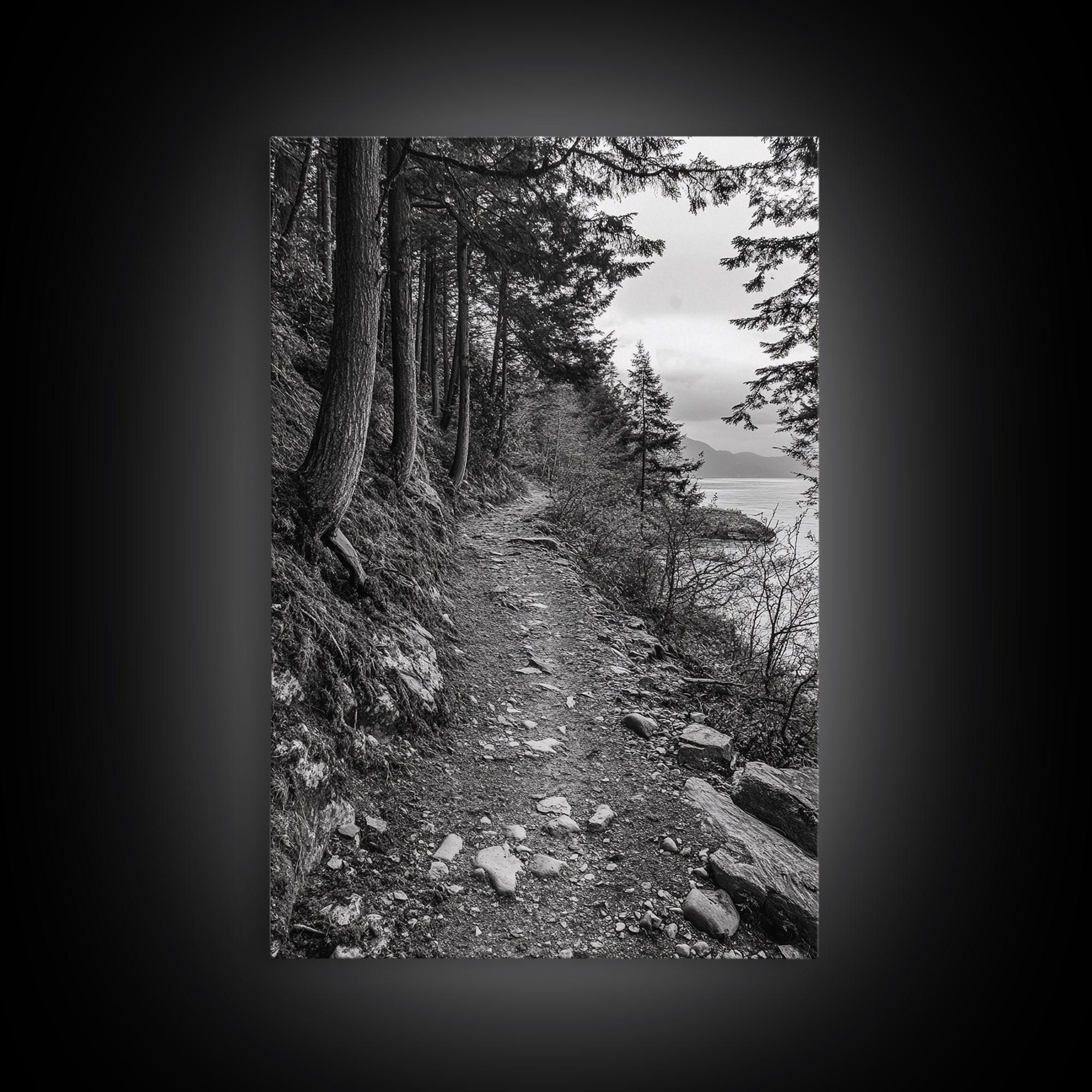 Forest Pathway Trail, Wilderness Escape, Rustic Nature, Black and White Framed Canvas Print, Cozy Cabin or Entryway Wall Art