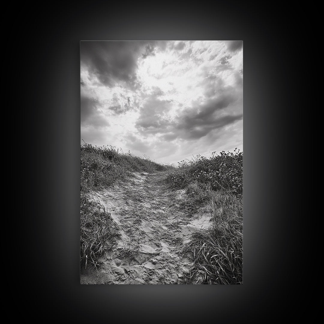 Sandy Trail, Ocean Path, Windy Grass, Moody Sky, Framed Canvas Print, coastal nature photography, hallway decor, rustic neutral art