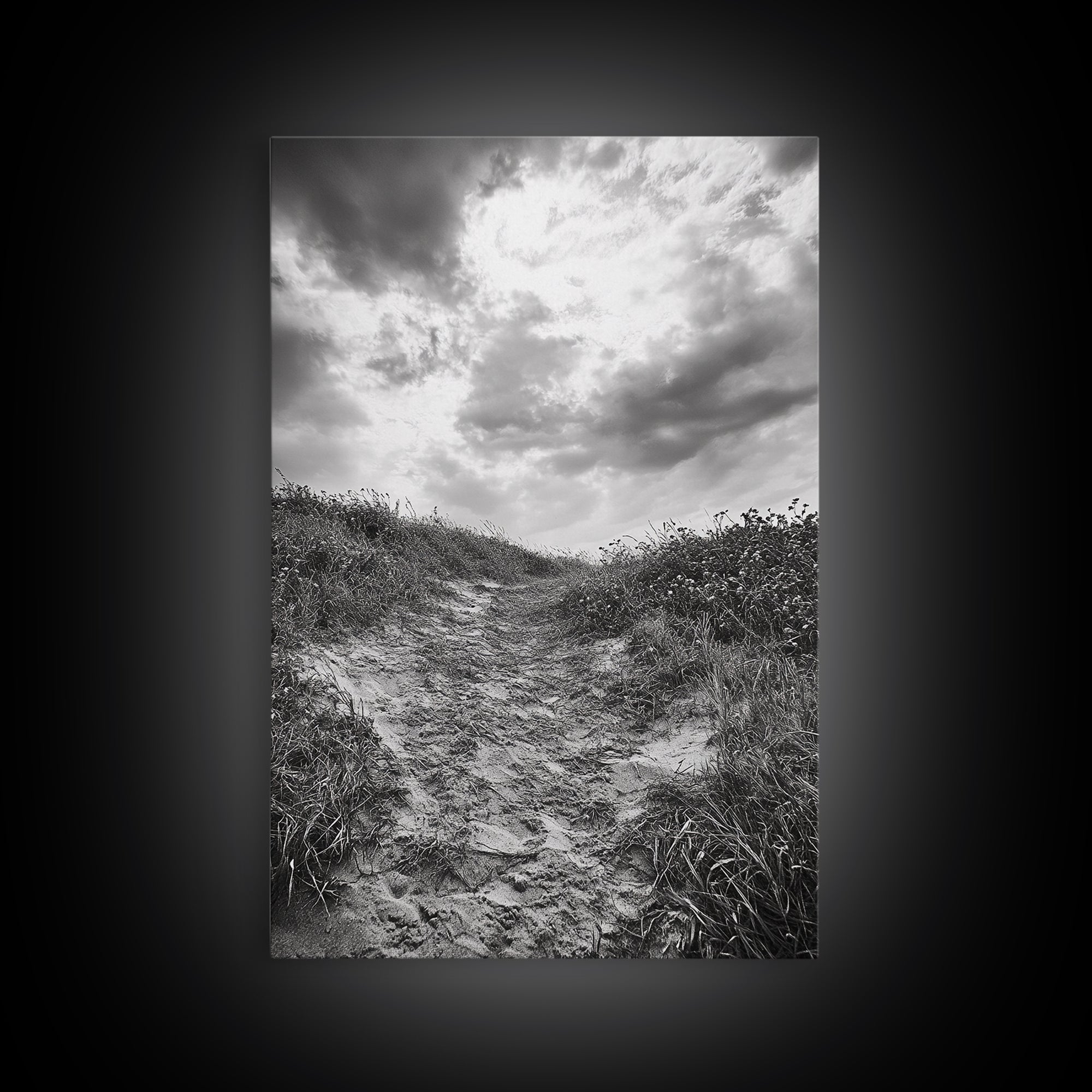 Sandy Trail, Ocean Path, Windy Grass, Moody Sky, Framed Canvas Print, coastal nature photography, hallway decor, rustic neutral art