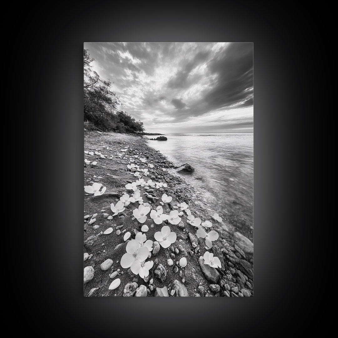 Flower Shore, Peaceful Beach, Moody Sky, Petal Scape, Framed Canvas Print, romantic beach art, bedroom decor, black and white floral print